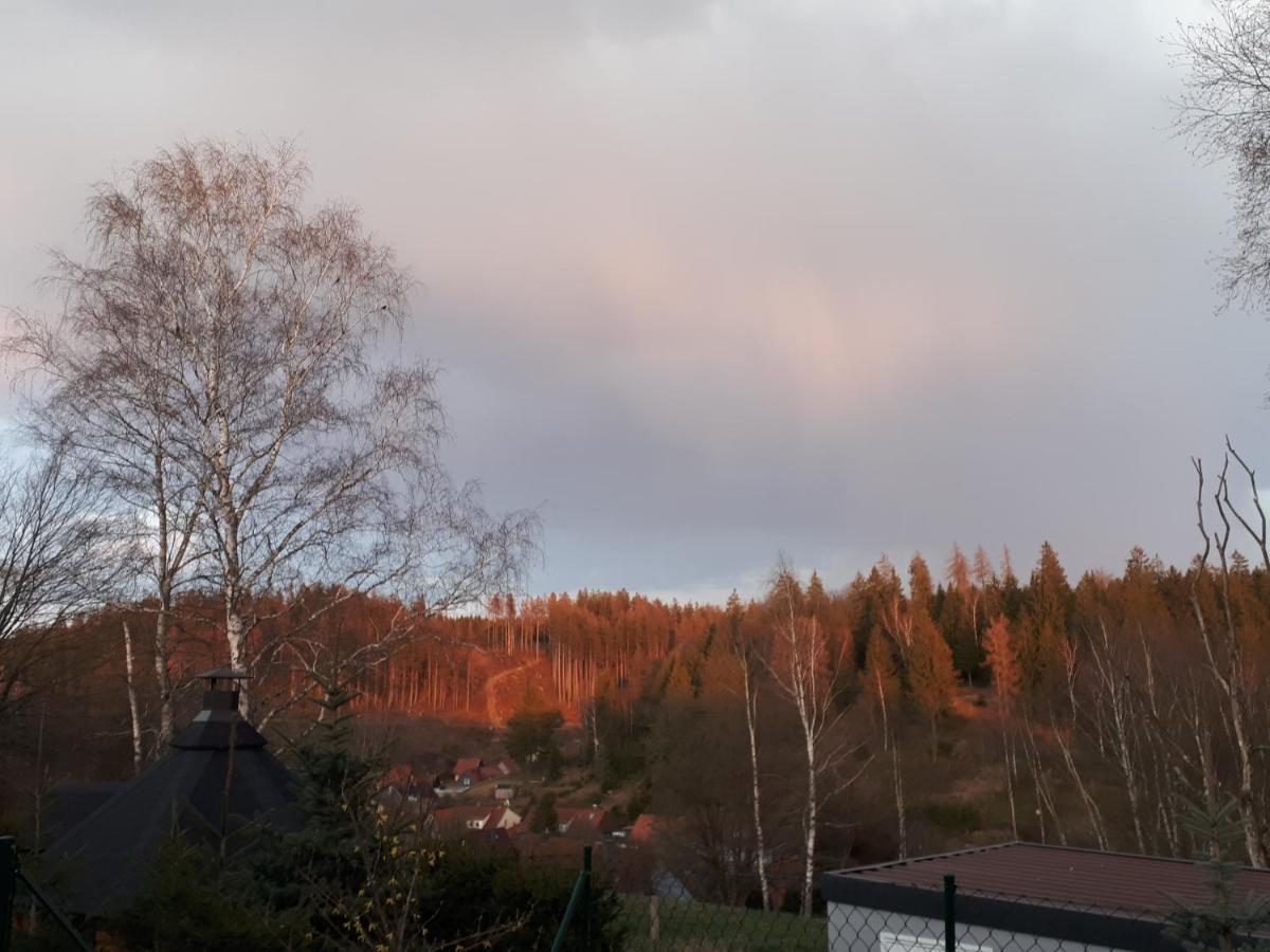 Behagliches Ferienhaus Zaunkoenig -Mit Kamin Und Sauna تانه المظهر الخارجي الصورة