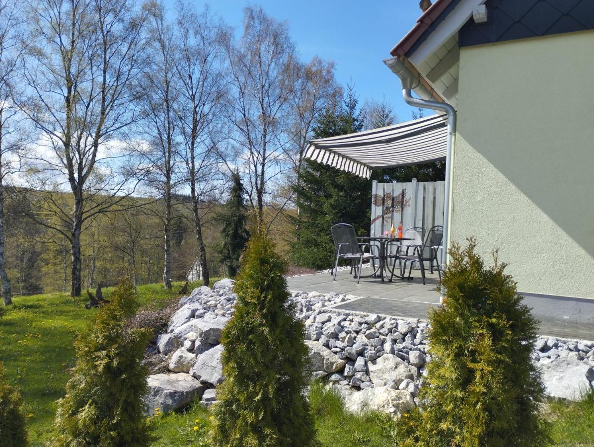 Behagliches Ferienhaus Zaunkoenig -Mit Kamin Und Sauna تانه المظهر الخارجي الصورة